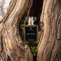 A bottle of SIGNAR Divine Extrait De Parfum placed in a hollow of weathered tree bark with small green moss visible around it. The bottle is clear glass with pale yellow liquid, a black front label with white text, and a clear cap.