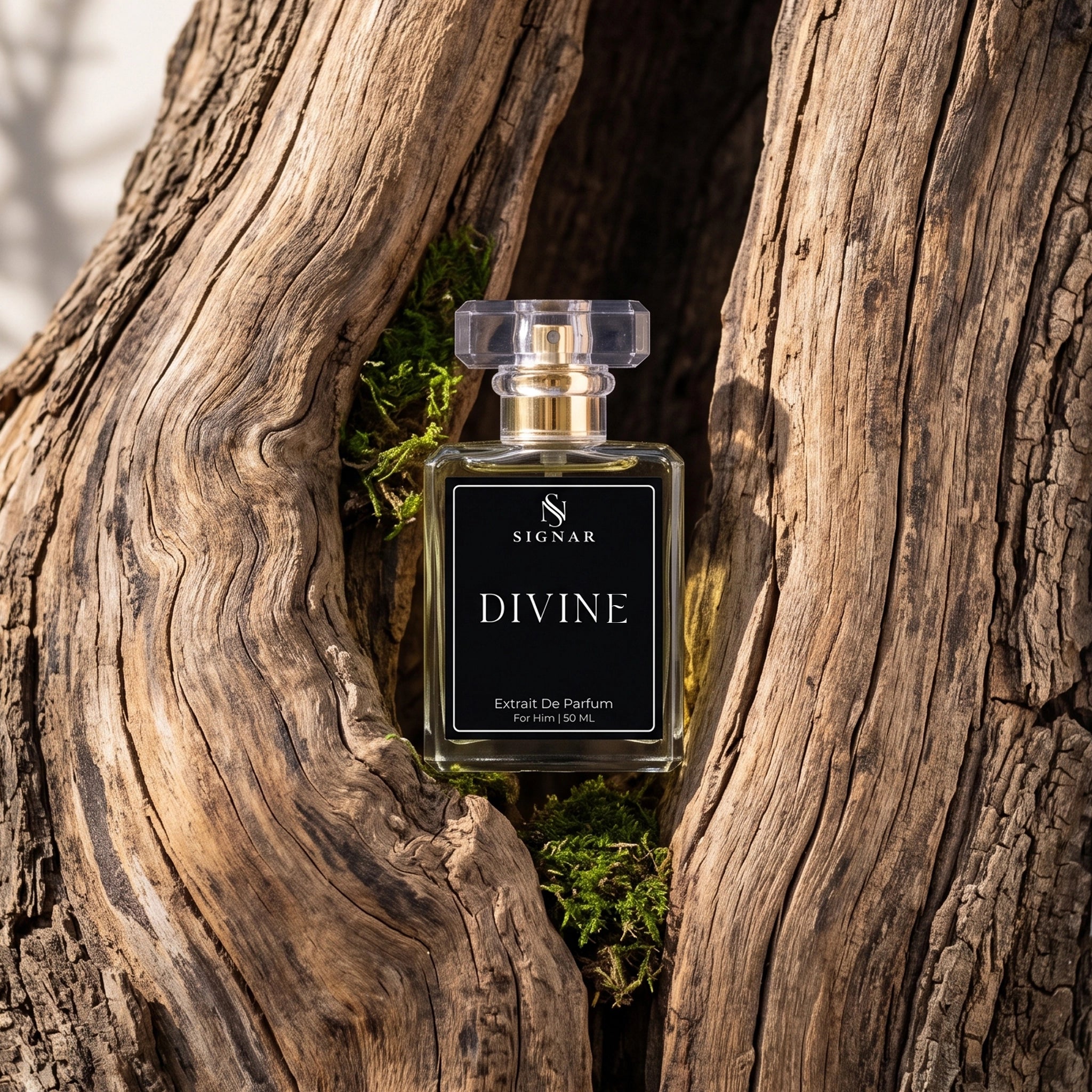 A bottle of SIGNAR Divine Extrait De Parfum placed in a hollow of weathered tree bark with small green moss visible around it. The bottle is clear glass with pale yellow liquid, a black front label with white text, and a clear cap.