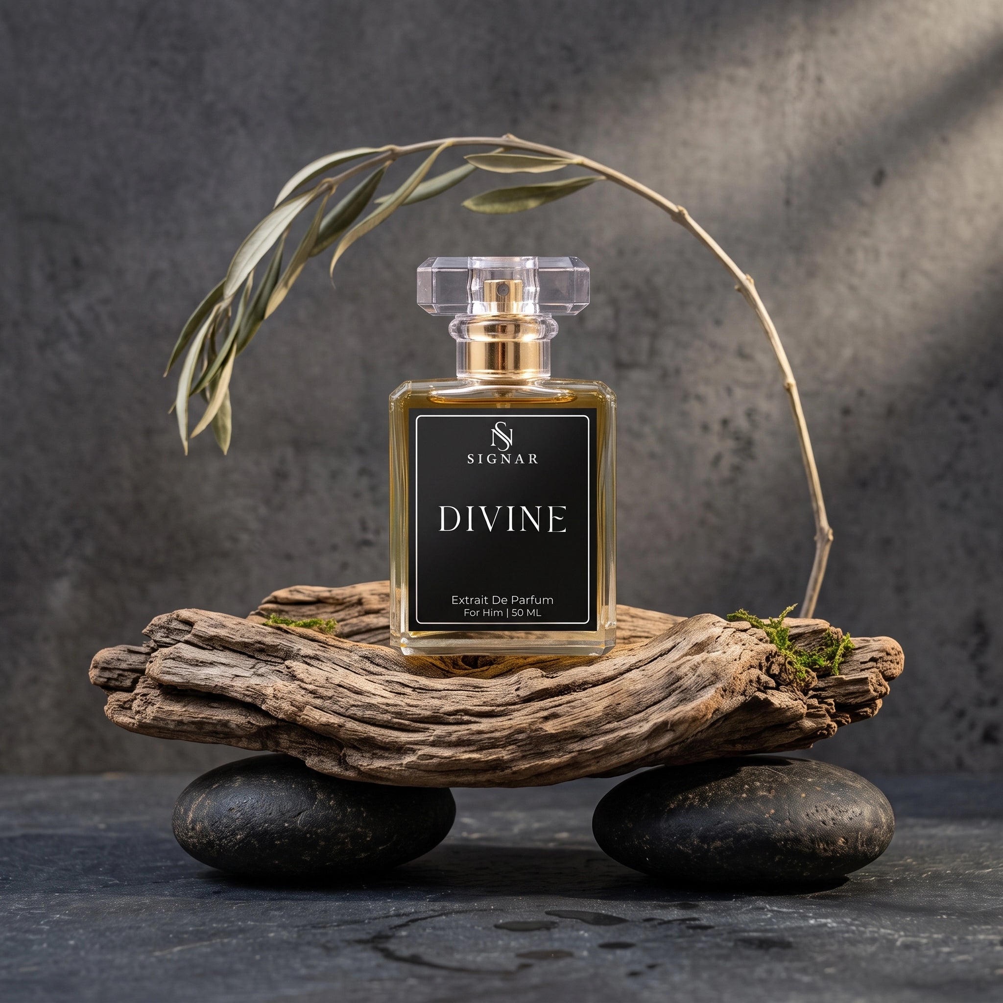 A rectangular glass perfume bottle labeled 'SIGBAR DIVINE' with a black label and gold-toned cap, styled on a piece of driftwood with two dark stones and a dried leafy branch against a textured gray background.