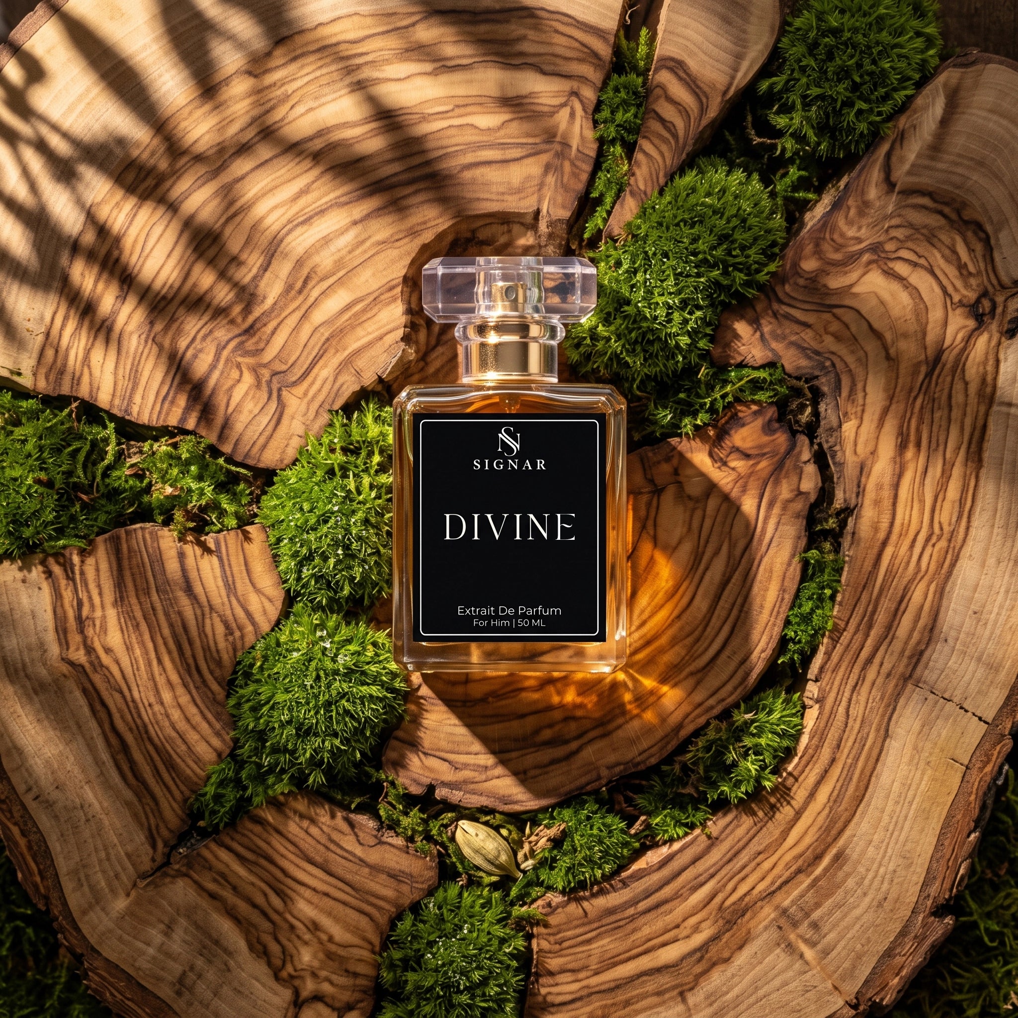 A glass perfume bottle labeled 'SIGBAR DIVINE' sits centered on a polished wood slice surrounded by green moss. The bottle has a clear cap and a black front label with white text.